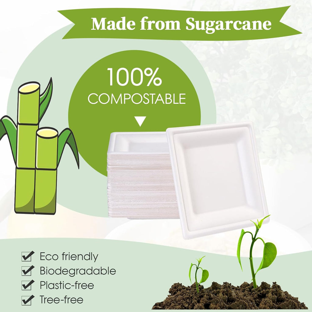 ecolipak 6 inch compostable square paper plates, 300, side view