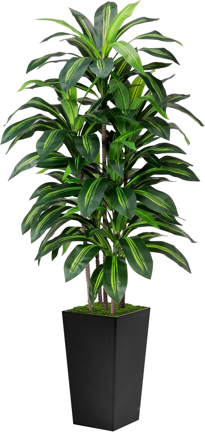 ASTIDY Artificial Plant 5FT Dracaena Fake Tree with Black Tall Planter