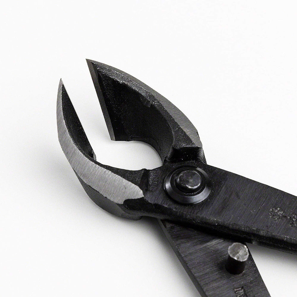 Wazakura Bonsai Tool Kit, Satsuki Scissors and Concave Cutter, Japan