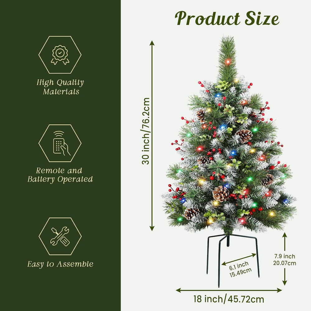 Set of 2 30 Inch Pre-lit Frosted Outdoor Christmas Tree with Remote