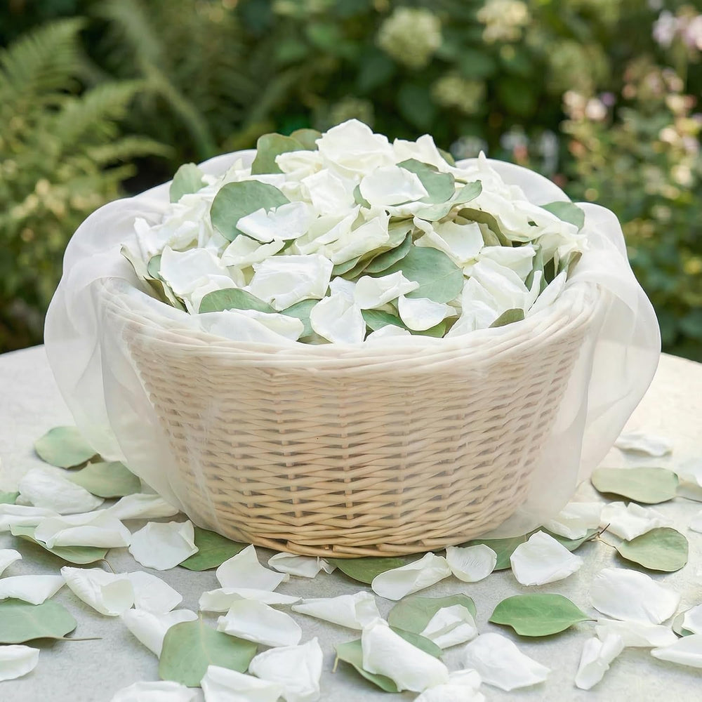500+PCS Real White Rose Petals & Eucalyptus Leaves Flower Petals