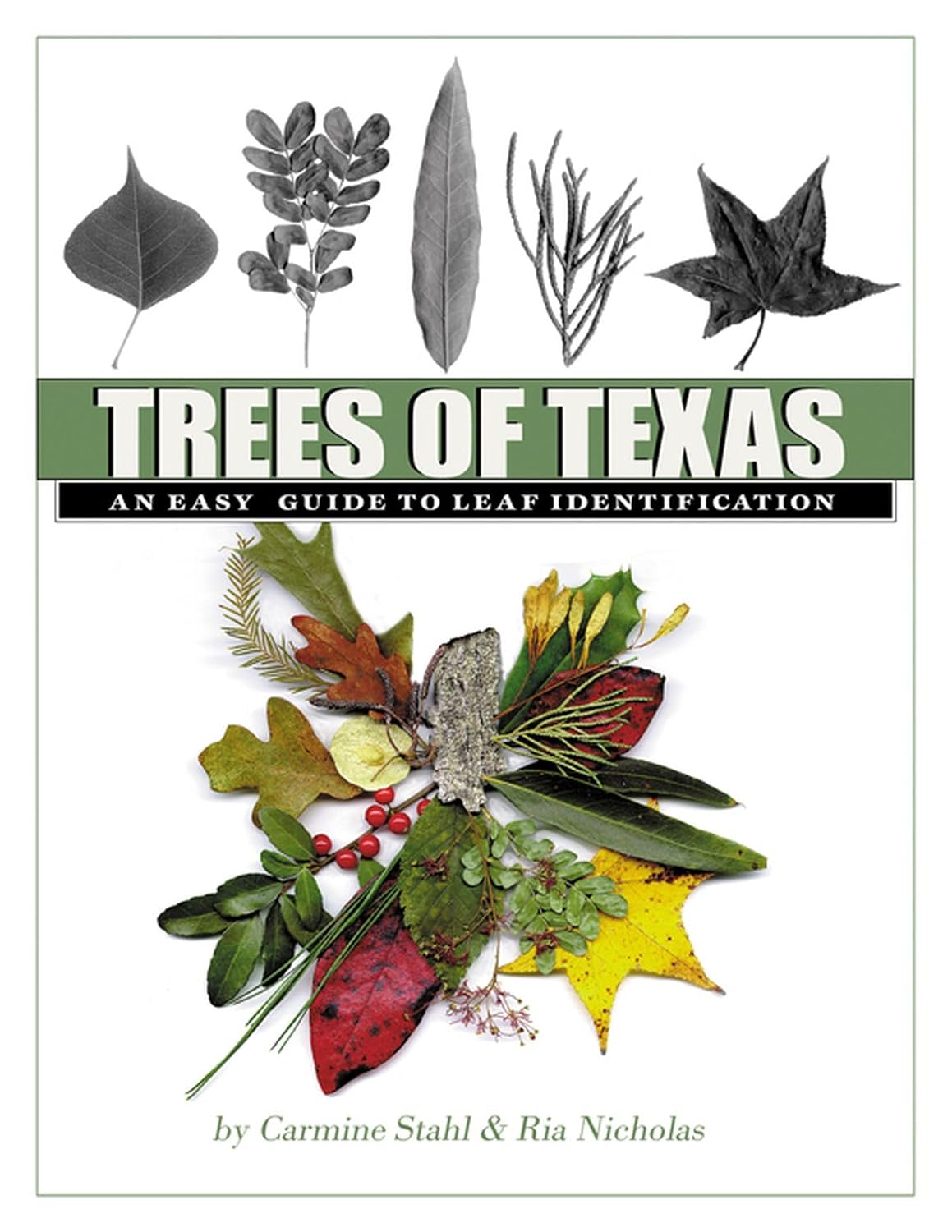 Trees of Texas: An Easy Guide to Leaf Identification (Volume 34) (W. L. Moody Jr. Natural History Series)