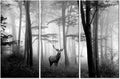 WELMECO 3 Pieces Animals Wall Decor Black and White Deer in Autumn Forest Canvas Prints Artwork for Home Office Nature Scenery Living Room Bedroom Decoration (L-48 XH-32)