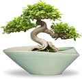 Bonsai Pot - 12 Inch Ceramic Planter Pot with Drainage Hole Large Modern Planter Decorative Glazed Succulent Plant Pot for Indoor Outdoor Plants Green