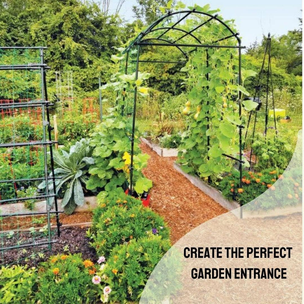 Gardener’s Supply Company Extra Tall Garden Arch Arbor | 80 Inch Tall Titan S...