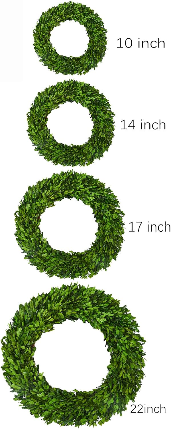boxwood wreath large 17 inch preserved nature real on a desk or shelf