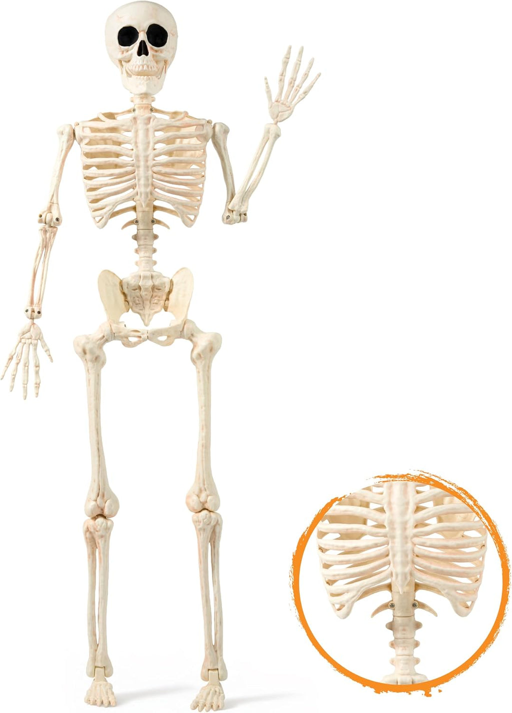 JOYIN 36" Halloween Skeleton Decor, 3FT Full Body Realistic Bones with Stayable Movable Joints, Posable Hanging Skeletons for Halloween Decoration, Yard, Graveyard, Haunted House, Spooky Scene Party
