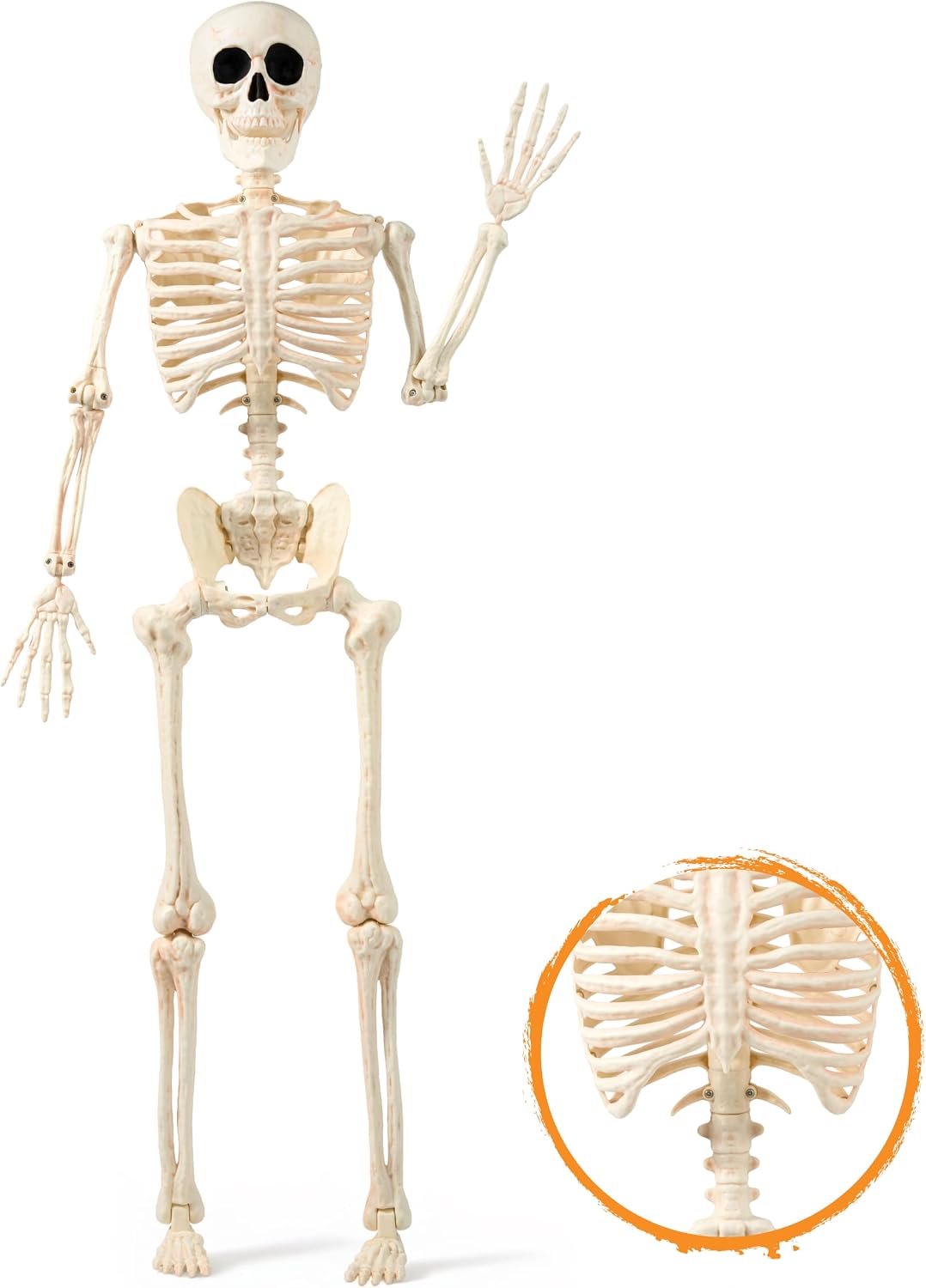 JOYIN 36" Halloween Skeleton Decor, 3FT Full Body Realistic Bones with Stayable Movable Joints, Posable Hanging Skeletons for Halloween Decoration, Yard, Graveyard, Haunted House, Spooky Scene Party