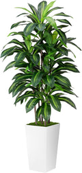 ASTIDY Artificial Plant 5FT Dracaena Fake Tree with White Tall Planter
