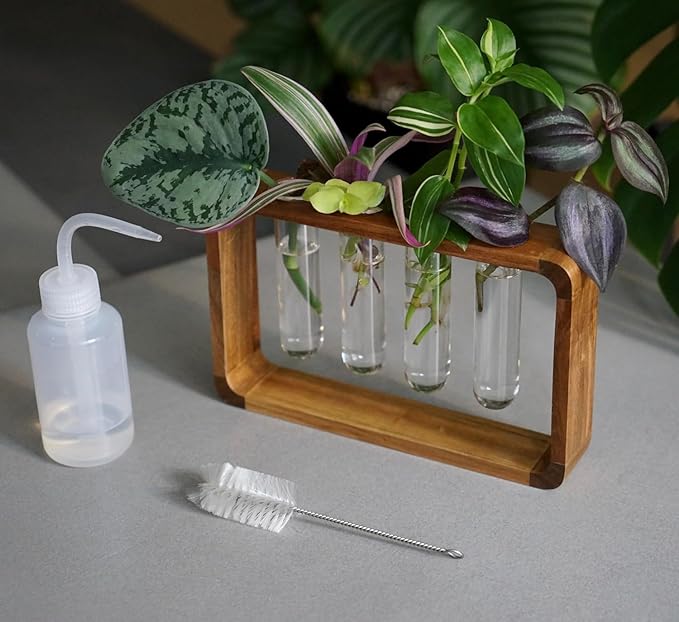 Source & Plot - Plant Propagation Station - Acacia Wood Stand 4 Glass Test Tube Hydroponic Tabletop Rooting Terrarium Planter Rack Home and Office Decor - Last Batch