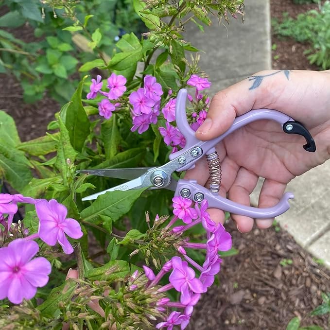 Modern Sprout Pruning Shears - Herb Snipping Scissors- Lightweight Gardening Tools W/Easy Lock - Flower Cutter Garden Shears - Carbon Steel Blade + Plastic-Free Reusable Holster (Multicolor, 4 Pcs)