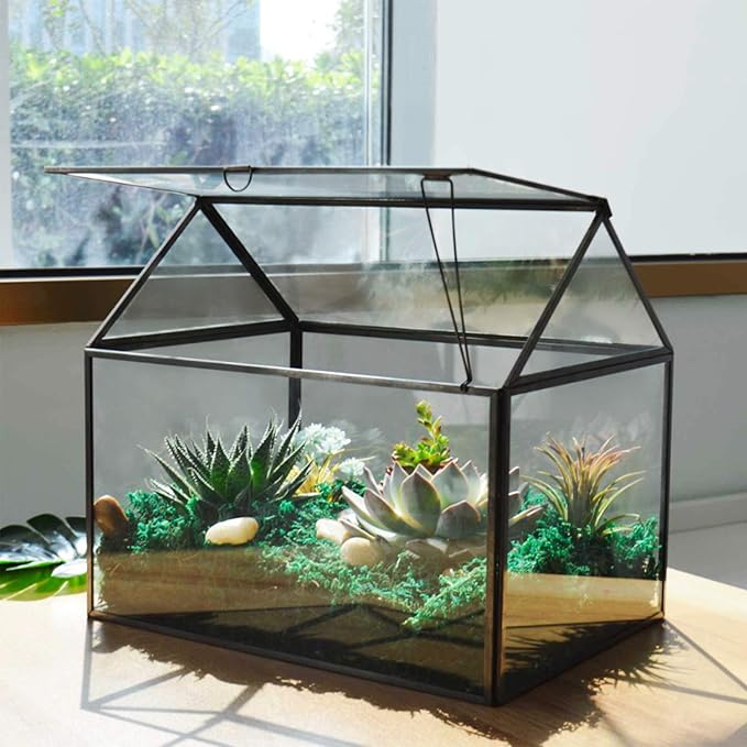 Black 1 Large Glass Plant Terrarium Kit with Lip Greenhouse for Succulents