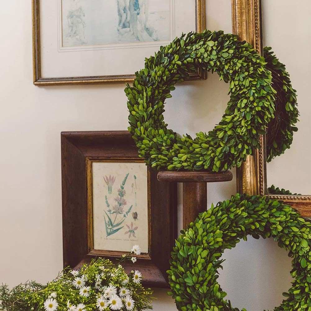 boxwood wreath large 17 inch preserved nature real showing dimensions