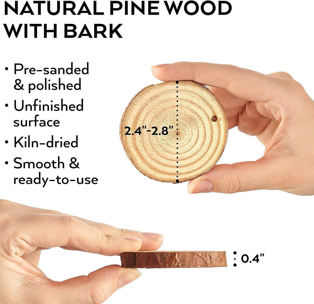 Arteza Outdoor Paint and Wood Slices Bundle, Painting Art Supplies for Artist...