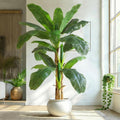 6ft Extra Tall Artificial Banana Tree, Fake Banana Leaf Plant with 14 Faux Banana Leaves, Perfect for Home Indoor Outdoor Patio Office Tropical Decor