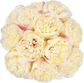 U'Artlines 20 Heads Artificial Peony Silk Flower Leaf Home Office Wedding Party Festival Bar Decor (Champagne)