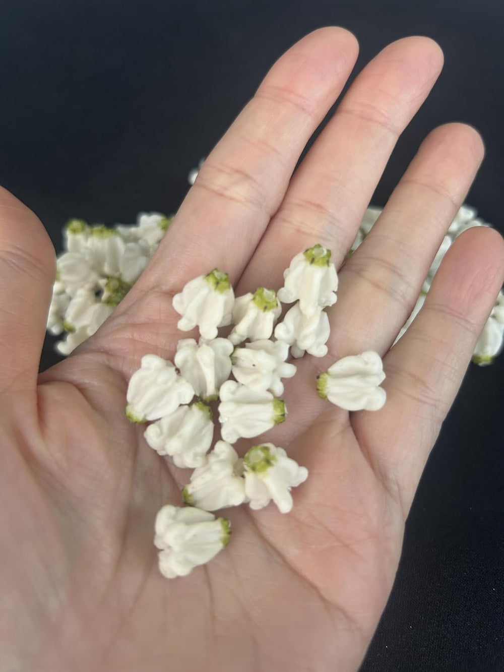 100 PCS Small Calotropis Gigantea Crown Flower Clay Beads (01) for Jewelry Ma...