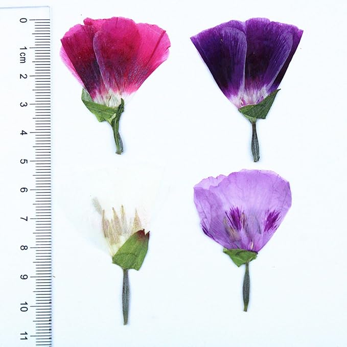 48 Pcs Dried Pressed Flowers for Crafts Art Resin DIY Natural Dry Floral Epoxy Jewelry Real Flower with Leaves Plants Decor Cakes Phone Cases Bookmarks Candles Handmade Soap Farewell