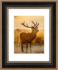 AUEAR 11x14 Picture Frame for 8x10 Photo,Real Glass,Ornate Gold Black Frame
