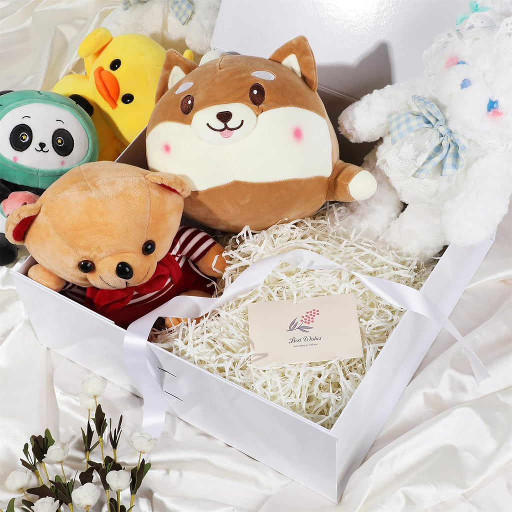 oemvalaty white gift box,18x18x6 inches gift boxes with, package contents
