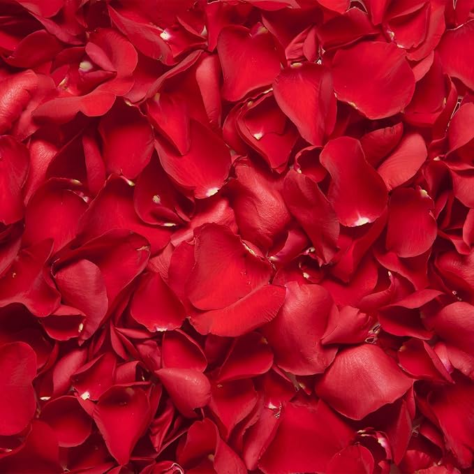 3.5 Oz Dried Rose Petals Wedding Biodegradable Petals, Natural Preservation Real Flower Petals, Suitable for Flower Petals for Flower Girl, Romantic Night, Table Decoration (Red, 100g)