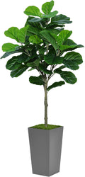 ASTIDY Fiddle Leaf Fig Tree Artificial 5FT - Faux Fiddle Leaf Fig Tree with Gray Tall Planter - Fake Ficus Lyrata Floor Plant Potted - Artificial Fig Tree for Home Office Living Room Decor Indoor