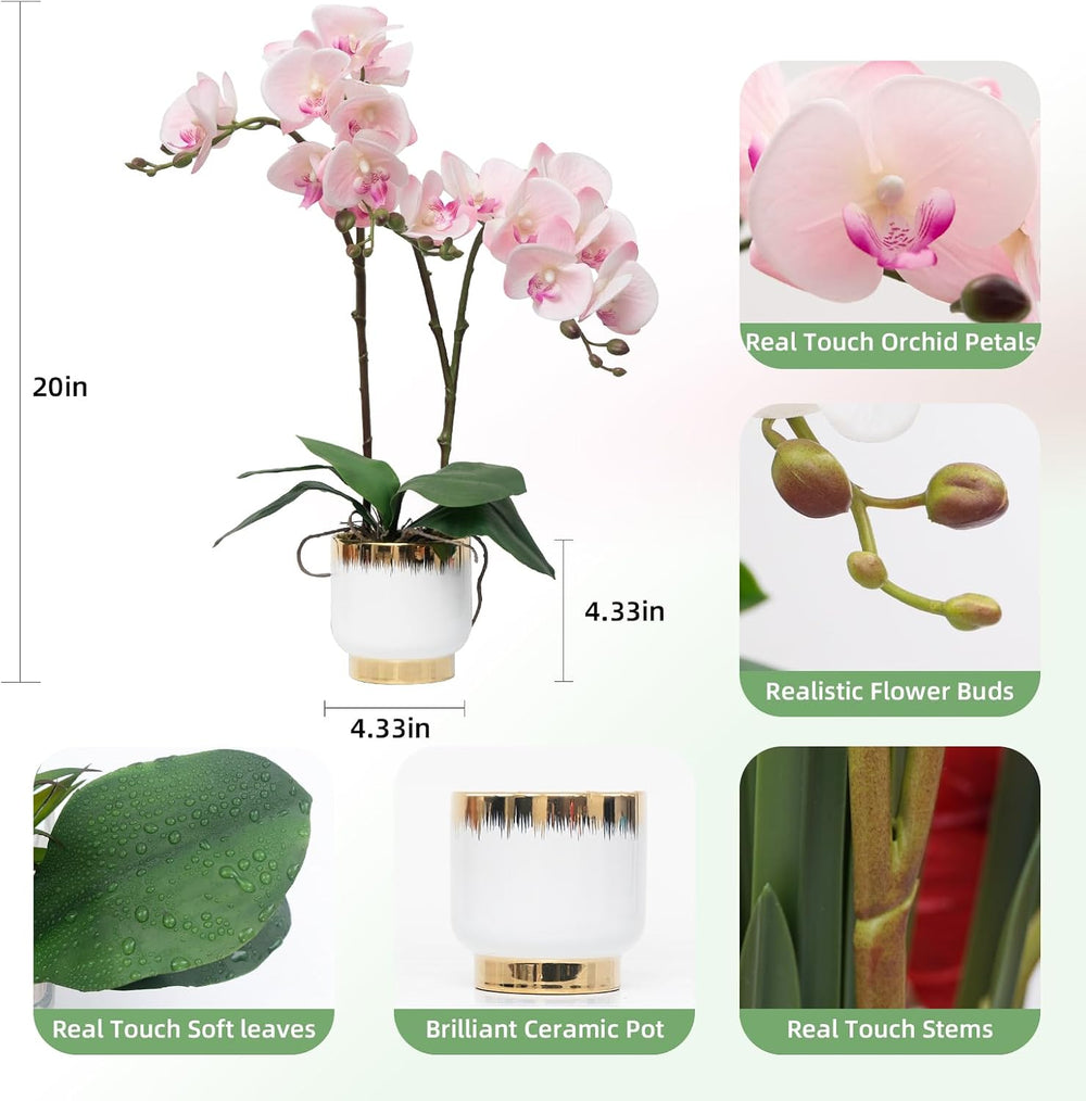 CXGS Orchids Artificial Flowers Real Touch Fake Flowers in Ceramic Pot 20&quo...