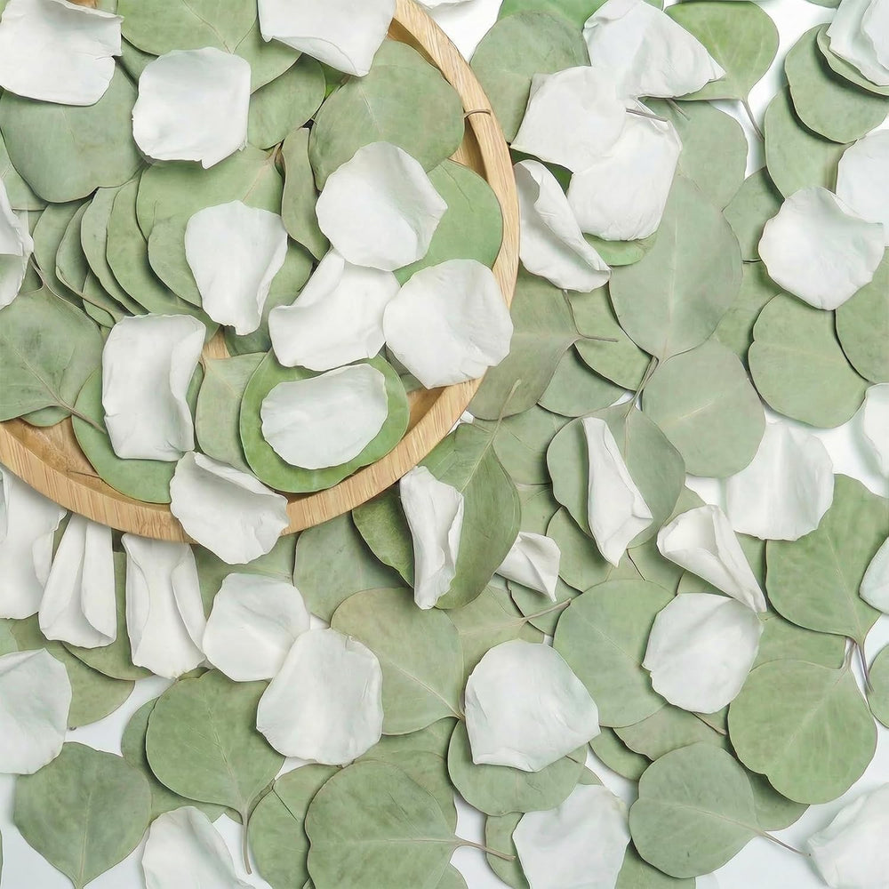 500+PCS Real White Rose Petals & Eucalyptus Leaves Flower Petals