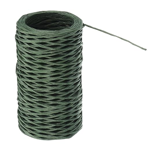 PATIKIL 164 Feet Floral Bind Wire Wrap Twine, 1mm Florist Wire Iron Wire Paper Covered Vine Wrapping Binding Wire for Flower Bouquets, Green