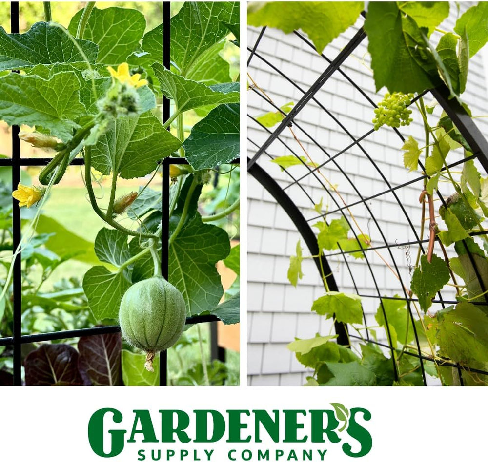 Gardener's Supply Company Arch Trellis, 2' x 4'
