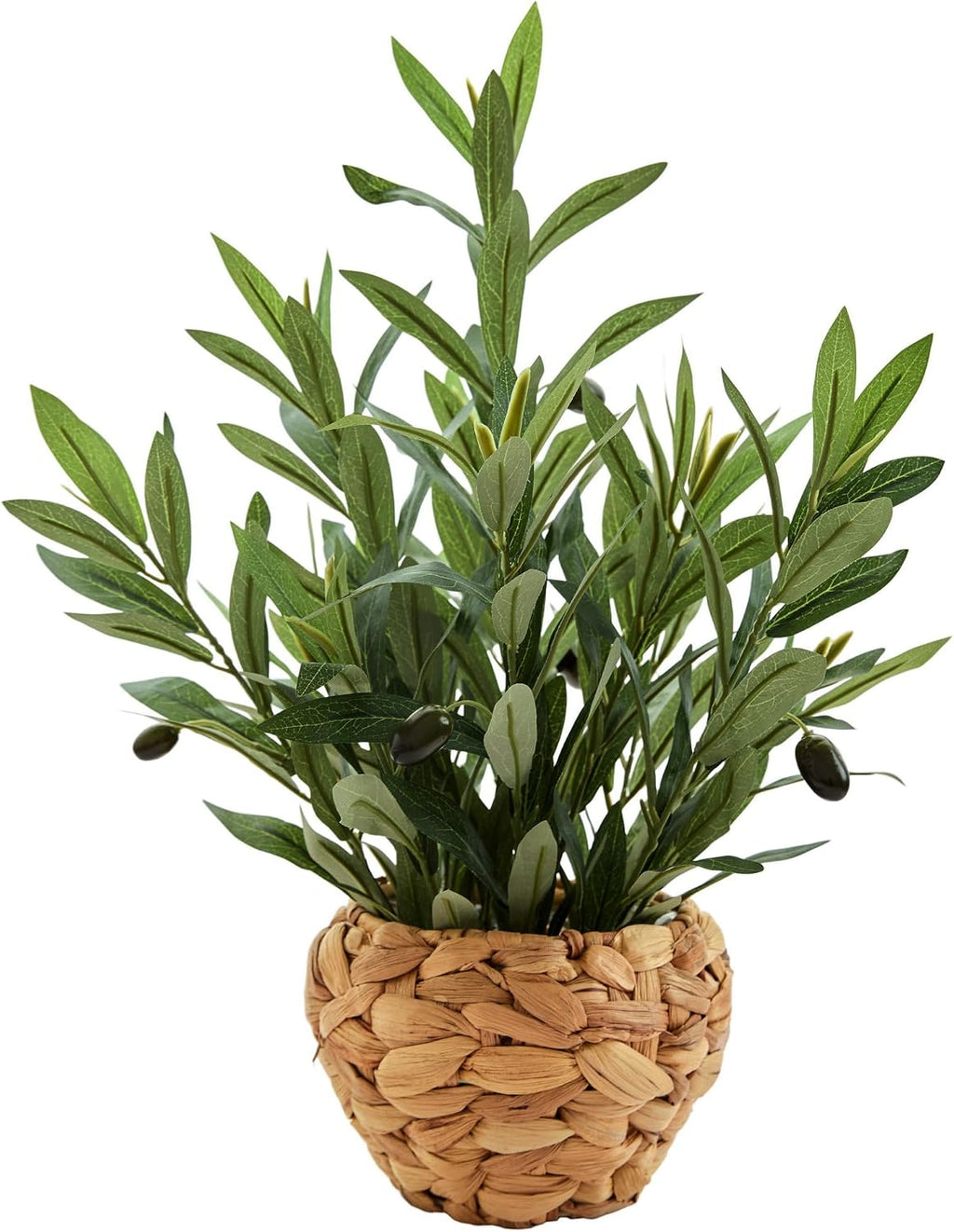 AlphaAcc Fake Potted Plant Small Olive Water Hyacinth Mediterranean Decor