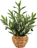 AlphaAcc Fake Potted Plant Small Olive Water Hyacinth Mediterranean Decor