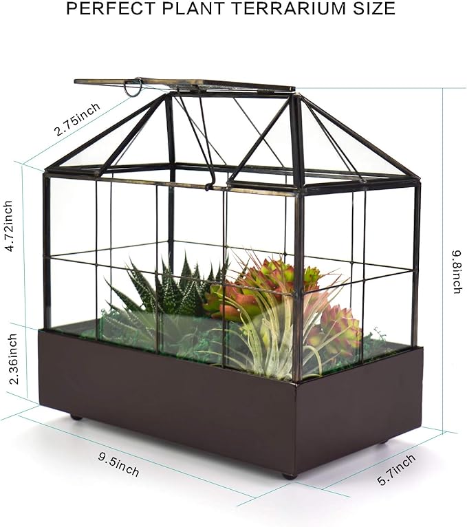 Large Tall Plant Terrarium Glass Greenhouse with Lid and Tray, Indoor Tabletop Orchid Succulent Cacti Kit 9.5'X9.8'X5.6'