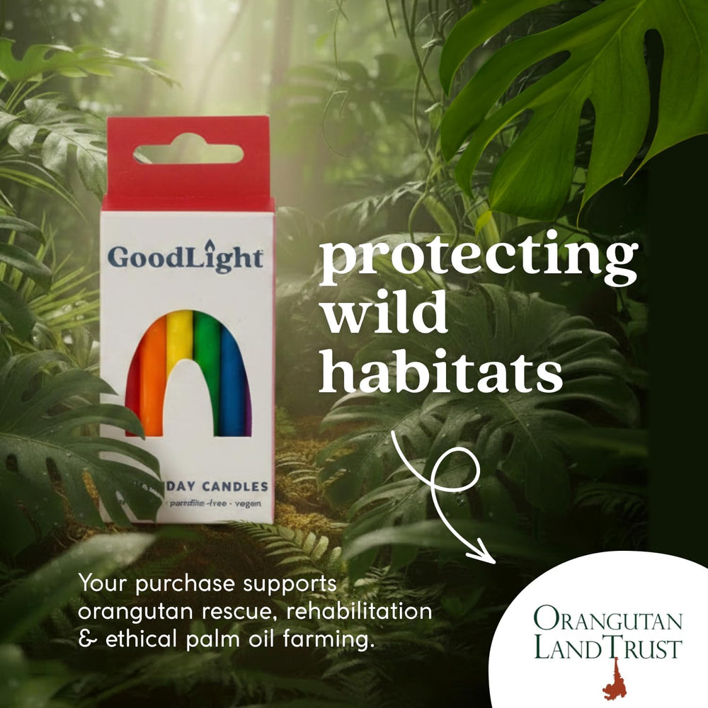 GoodLight Birthday Candles Paraffin-Free 12-Pack Rainbow 144 Count