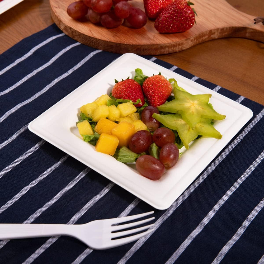 LIYH 200 Pack 6 Inch Compostable Sugarcane Square Small Paper Plates – Biodeg...