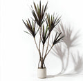 Dracaena marginata Artificial Plant 4.2ft, Faux Dragon Tree in Pot