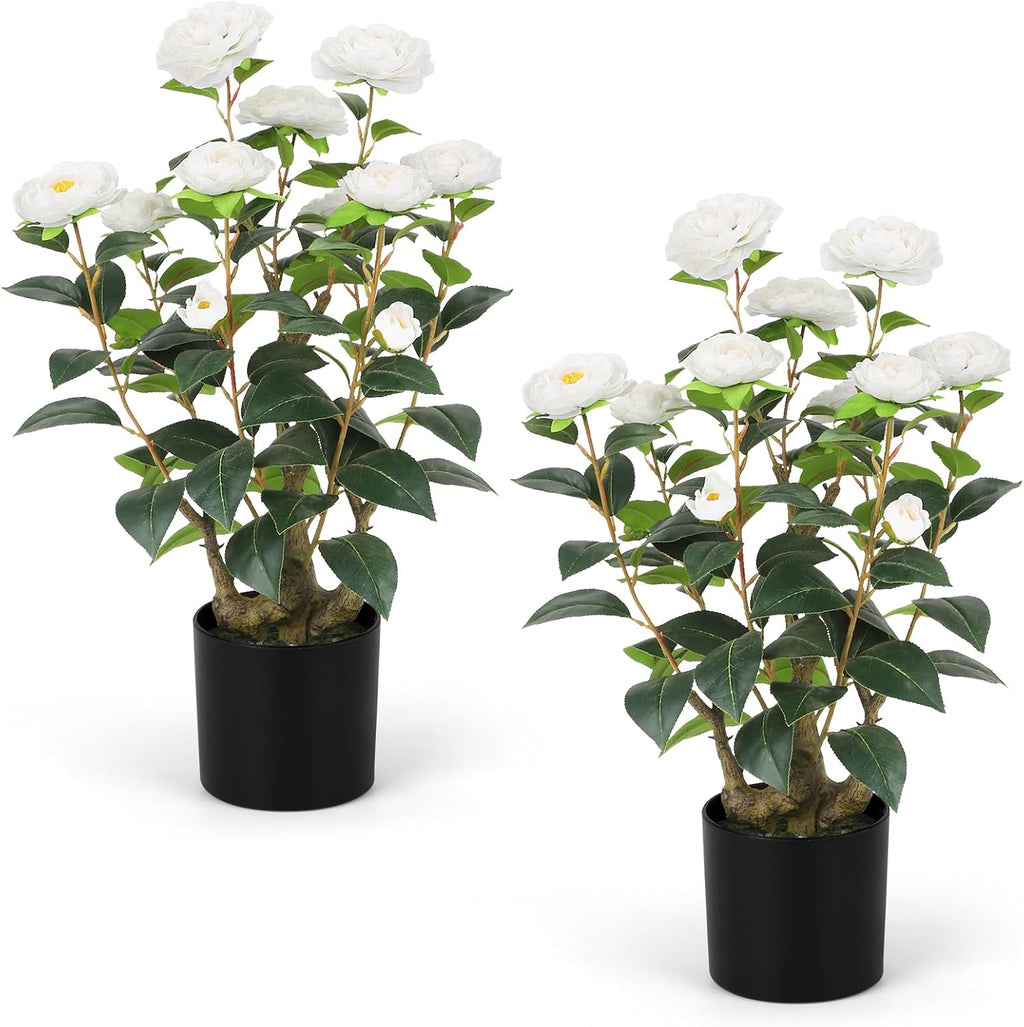 Romantic Season 2FT White Artificial Camellia Tree 2Pack, Faux Camellia Plant Fake Potted Camellia Flower Tree Plastic Camellia Tree for Modern Home Office Living Room Floor Décor