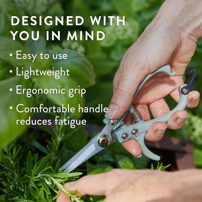Modern Sprout Pruning Shears - Herb Snipping Scissors- Lightweight Gardening Tools W/Easy Lock - Flower Cutter Garden Shears - Carbon Steel Blade + Plastic-Free Reusable Holster (Multicolor, 4 Pcs)