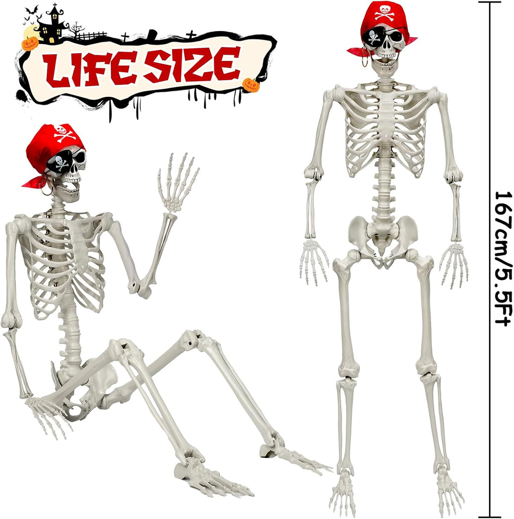 MyoGrip 5.5 FT Skeleton Halloween Decorations, Posable Full Body Life-Size Skeleton Prop with Movable Joints for Halloween Decorations Haunted House Outdoor Yard Prop
