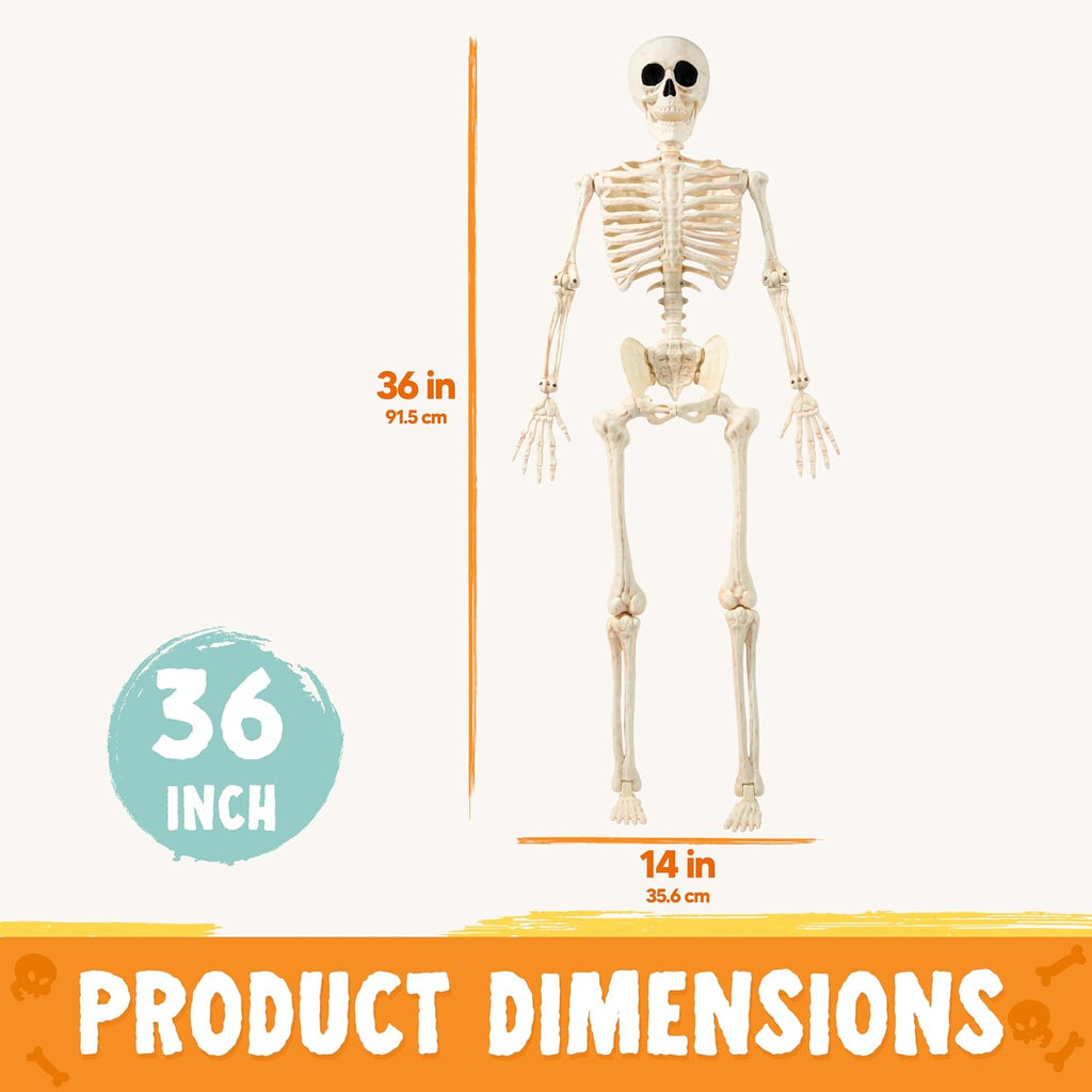 JOYIN 36" Halloween Skeleton Decor, 3FT Full Body Realistic Bones with Stayable Movable Joints, Posable Hanging Skeletons for Halloween Decoration, Yard, Graveyard, Haunted House, Spooky Scene Party