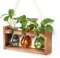 Plant Propagation Station Plant Terrarium Unique Birthday Gifts for Women Home Office Decor Planter with Wooden Stand - 3 Bulb Glass Vase