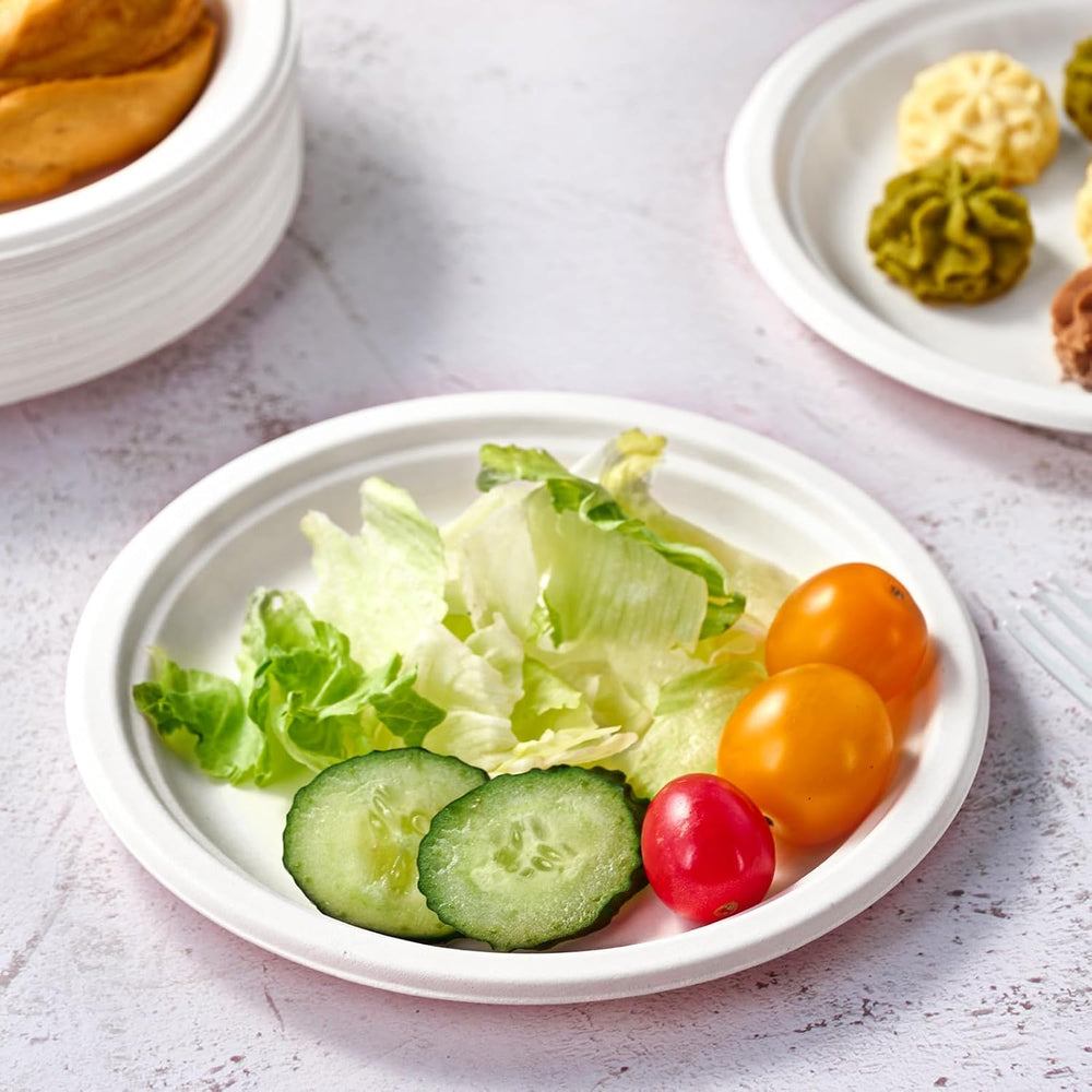 Vplus 350 Pack Compostable Bagasse Paper Plates 6.9 inch, White