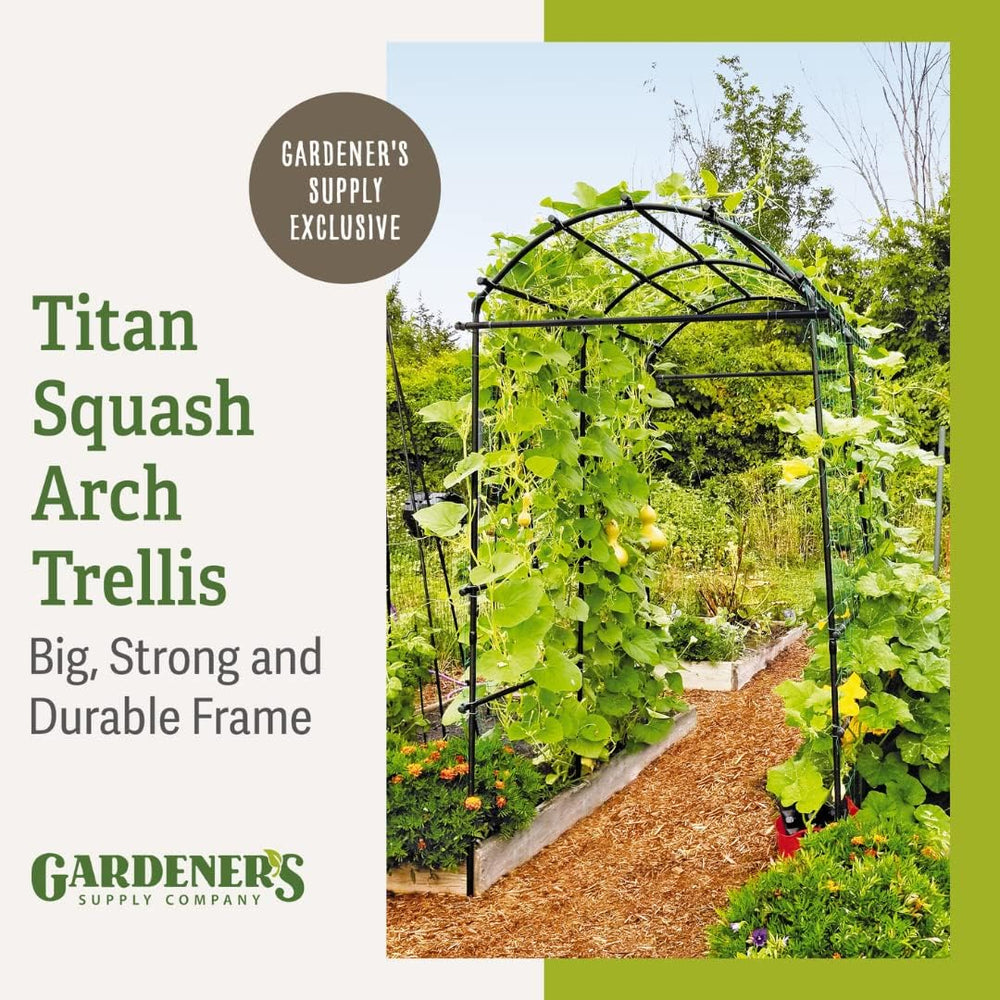 Gardener’s Supply Company Extra Tall Garden Arch Arbor | 80 Inch Tall Titan S...