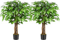 3ft Ficus Artificial Trees with Natural Curved Trunks, 36" Tall Lush Faux Tree for Home Decor Indoor, Green Lifelike Fake Ficus Tree Artificial Plants(Set of 2)