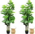 ROOMTEC 2pcs Artificial Fiddle Leaf Fig Tree,6 FT Tall Artificial Tree with Woven Seagrass Plant Basket Fake Floor Plant in Pot for Home Decor Living Room Indoor Outdoor Office Bedroom Decor