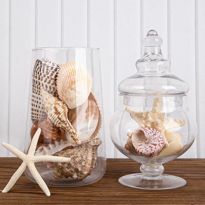 JQAQJU Sea Shells for Decorating 15PCS Large Seashells Starfish Conch for Beach Party,Vase Fillers, Table Scatters, Home Decor, DIY Crafts, Bathroom, Fish Tank Decorations