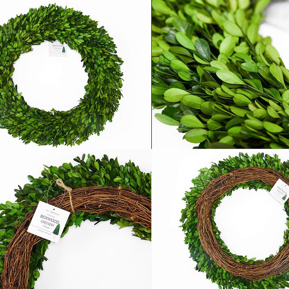 boxwood wreath large 17 inch preserved nature real, close-up detail