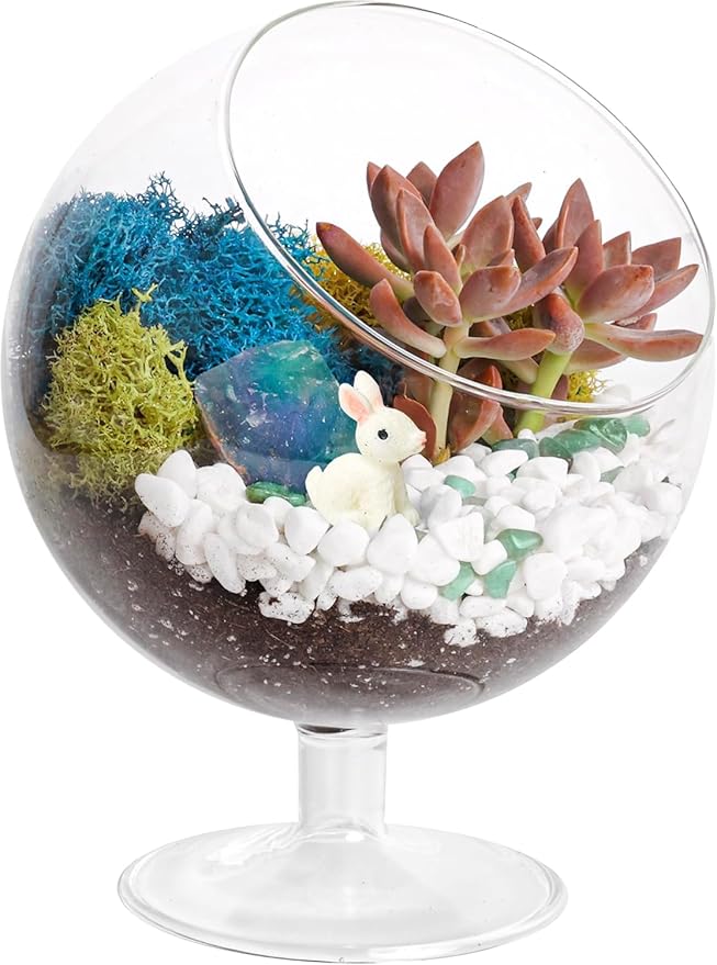 DIY Glass Plant Terrarium Kit for Adults, Metal Stand, Reindeer Moss, Crystals, Rocks, Tools & Figurine – Complete Starter Set