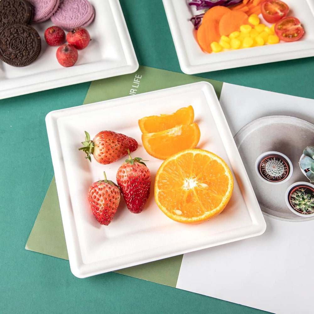 LIYH 200 Pack 6 Inch Compostable Sugarcane Square Small Paper Plates – Biodeg...