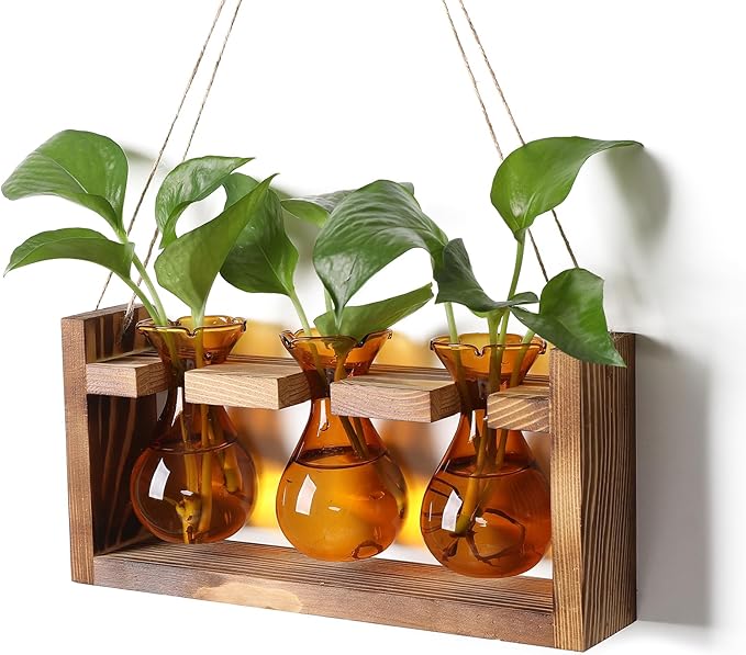 Plant Propagation Station Plant Terrarium Unique Birthday Gifts for Women Home Office Decor Planter with Wooden Stand - 3 Bulb Glass Vase
